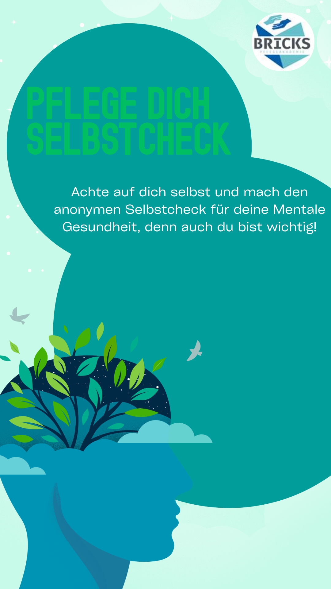 https://moodle.bricks-pflegeakademie.de/mod/feedback/view.php?id=2877